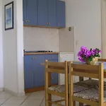 Paloma Blanca *