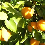 Paloma Blanca شقة *