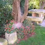 Paloma Blanca *