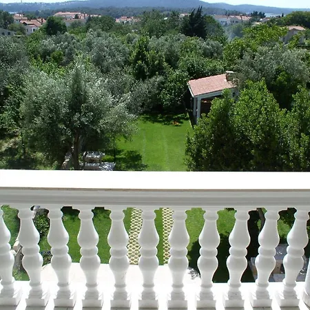 Paloma Blanca * Medolino