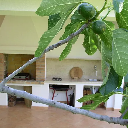 Appartamento Paloma Blanca *