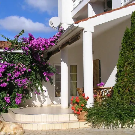 Paloma Blanca