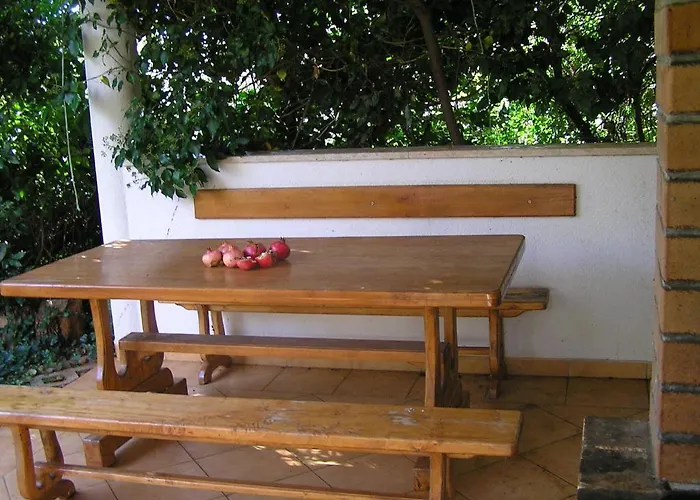 Paloma Blanca * Medolino
